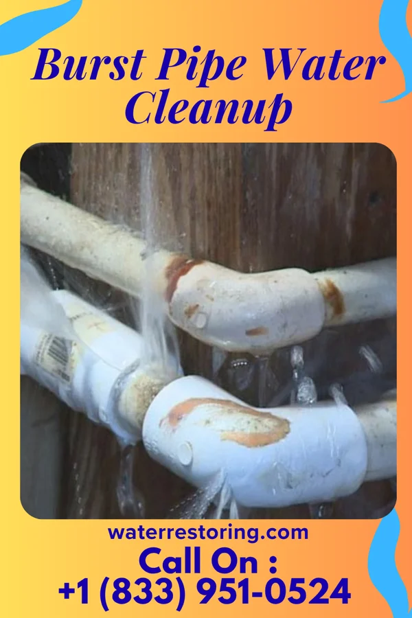 Burst Pipe Water Cleanup in Victory Lakes, NJ