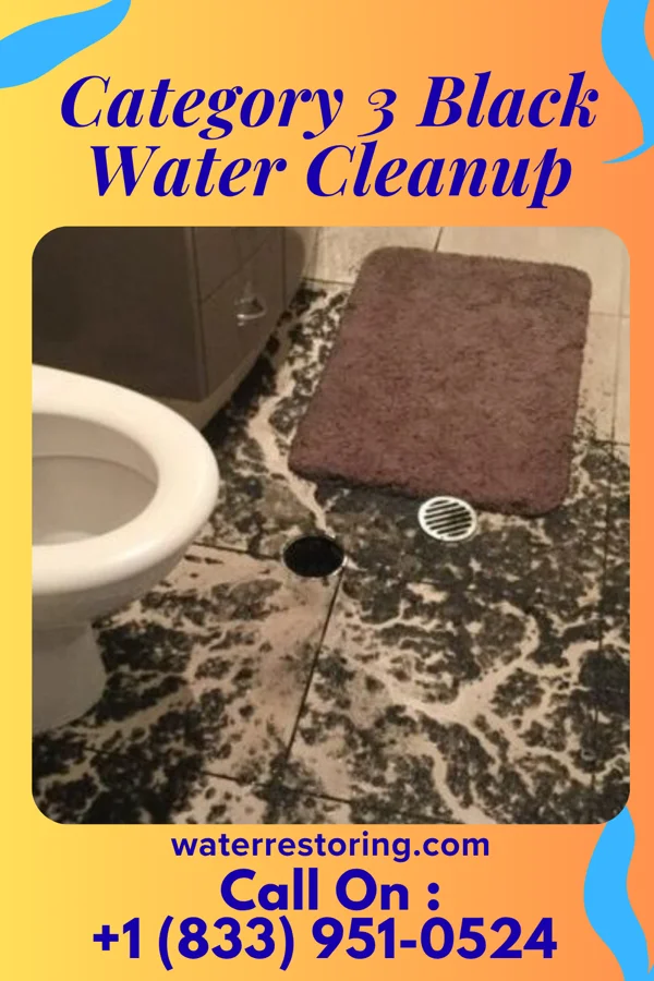 Category 3 Black Water Cleanup in Victory Lakes, NJ