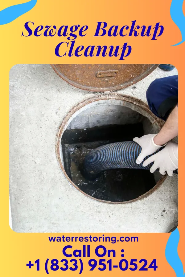 Sewage Backup Cleanup in Victory Lakes, NJ